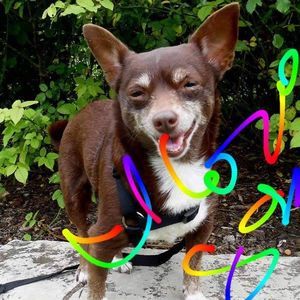 Meet your Posher, Mary jane